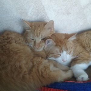 Meet your Posher, Shanice